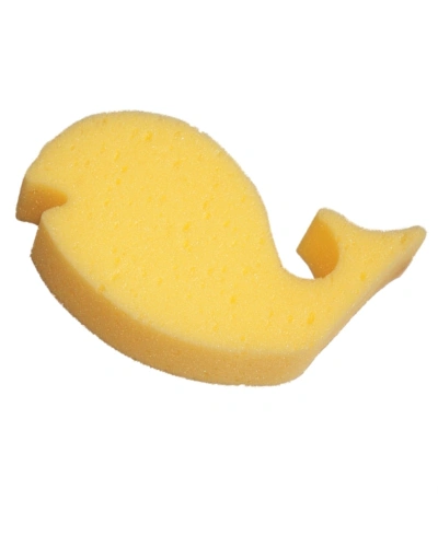 Houba dětská Houba dětská