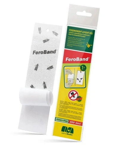 Fero Band.jpg Fero Band.jpg