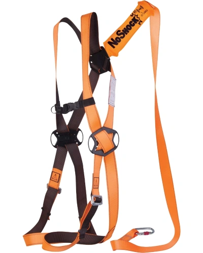 ELARA16 2 800x1000.jpg