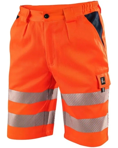 Norwich oranžové 5.jpg Norwich oranžové 5.jpg