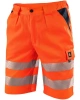 Norwich oranžové 5.jpg Norwich oranžové 5.jpg