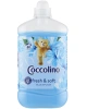 coccolino.jpg