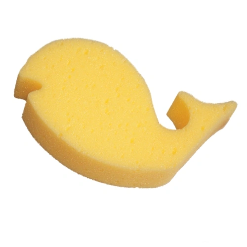 Houba dětská Houba dětská