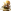 naradi.png